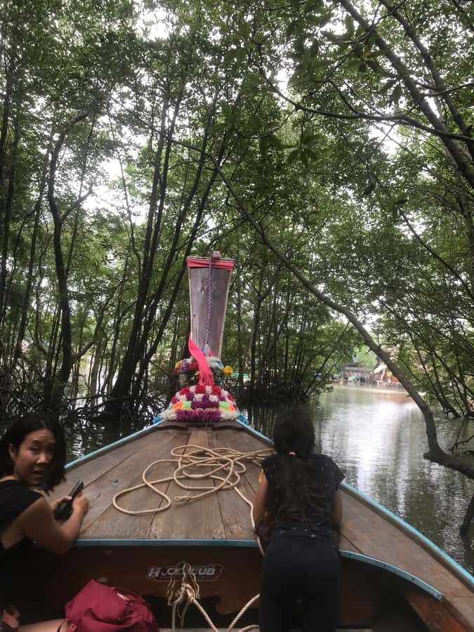Koh Lanta: Mangrove Forest Tour with Boat Ride & Lunch - What to Expect on the Tour