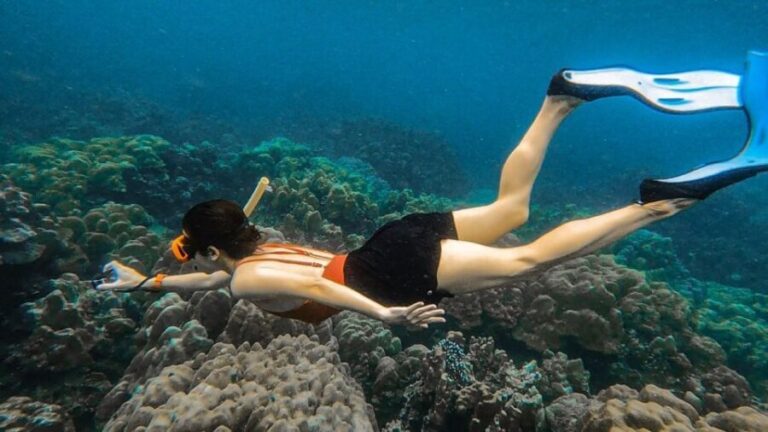 Koh Lipe: Longtail Boat Snorkeling Trip Program A - Why Travelers Love This Tour