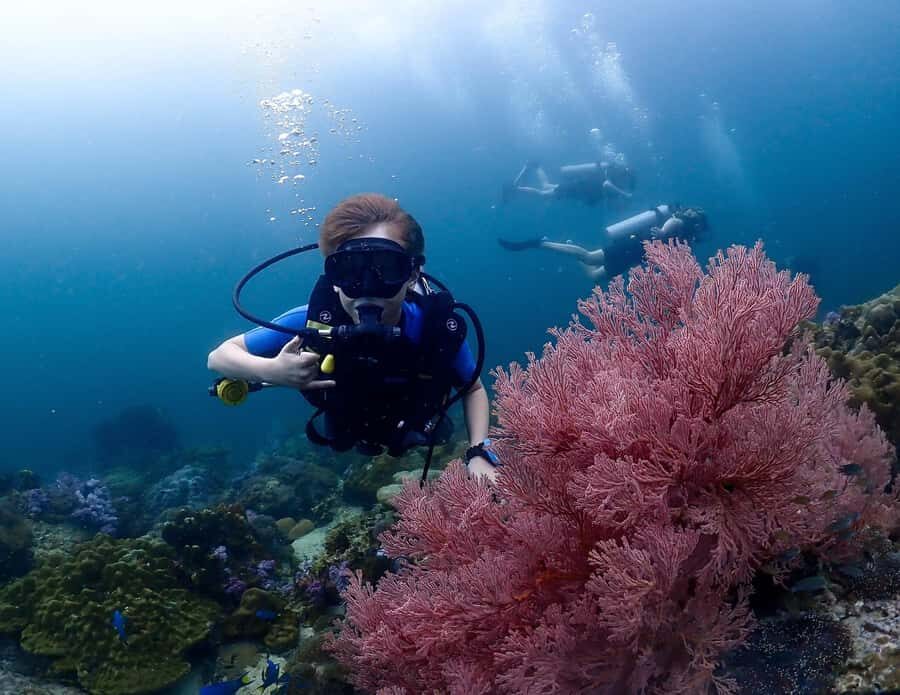Koh Lipe: Scuba Refresher and Fun Dive for Certified Divers - What to Expect on the Day