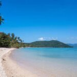 Koh Madsum, Koh Tan & Koh Rap: Private Tour by Speedboat - Discovering Koh Madsum: Pig Island