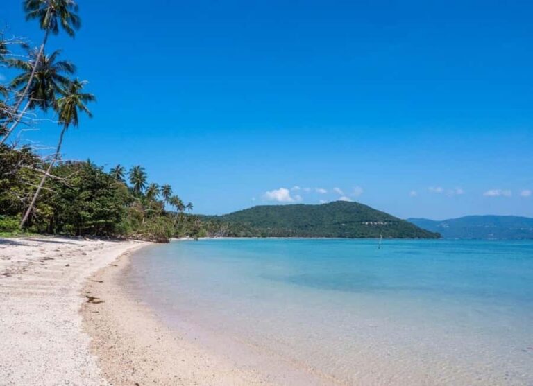 Koh Madsum, Koh Tan & Koh Rap: Private Tour by Speedboat - Discovering Koh Madsum: Pig Island