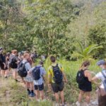 Koh Phangan: Hidden Jungle Trekking & Waterfall Adventure - The Jungle Trek: What to Expect