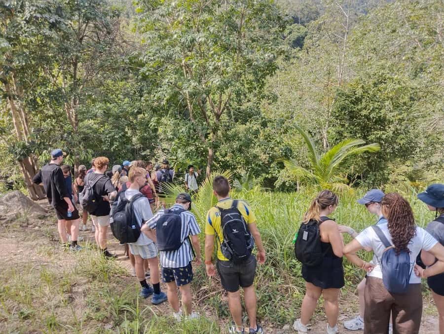 Koh Phangan: Hidden Jungle Trekking & Waterfall Adventure - The Jungle Trek: What to Expect