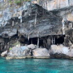 Koh Phi Phi: Early Morning Maya Bay, Bamboo Speedboat Tour - The Itinerary: What Can You Expect?