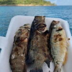 Koh Rong Fishing & Snorkeling tour (Private) - Practical Aspects & What to Expect