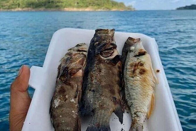 Koh Rong Fishing & Snorkeling tour (Private) - Practical Aspects & What to Expect