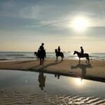 Koh Samui: 1-Hour Horseback Riding on Taling Ngams Shores - The Reality from Reviews