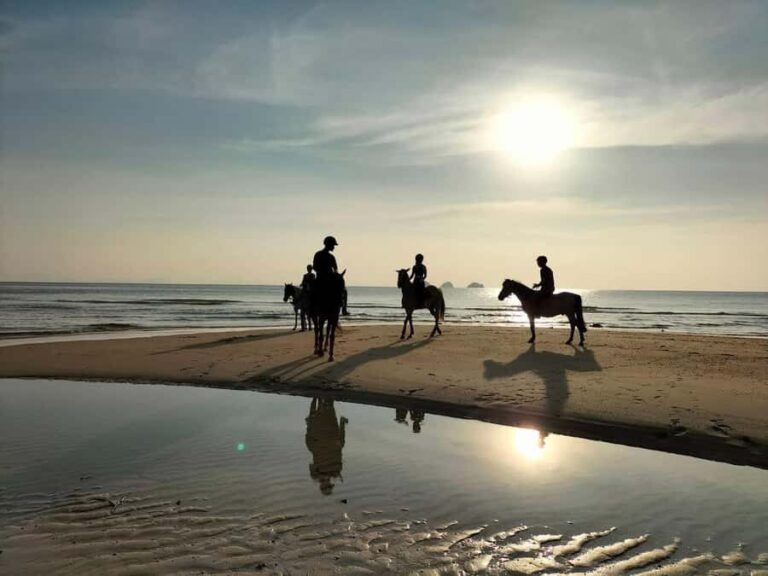 Koh Samui: 1-Hour Horseback Riding on Taling Ngams Shores - The Reality from Reviews