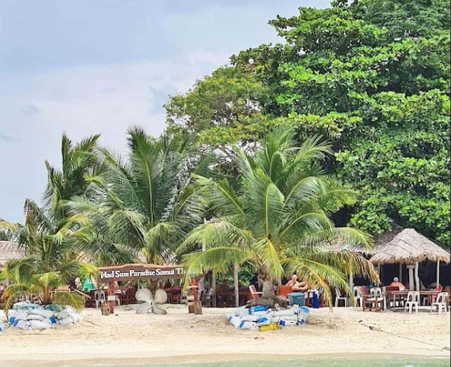 Koh Samui: Amazing Pig Island Tour - Cruise Ship Tours - Transportation and Group Size