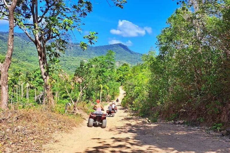 Koh Samui: ATV Quad Bike Adventure - Waterfall & Views - What to Expect During the Tour