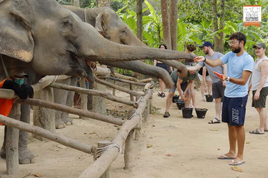 Koh Samui: Elephant Sanctuary Entry and Feeding Experience - A Genuine Look at the Koh Samui Elephant Sanctuary Experience