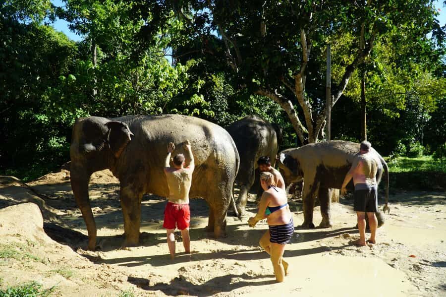 Koh Samui: Elephant Sanctuary Visit with Mud Spa & Lunch - The Real Value of This Tour