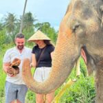 Koh Samui: Ethical Elephant Home Guided Tour with Transfers - What Makes This Tour Stand Out?