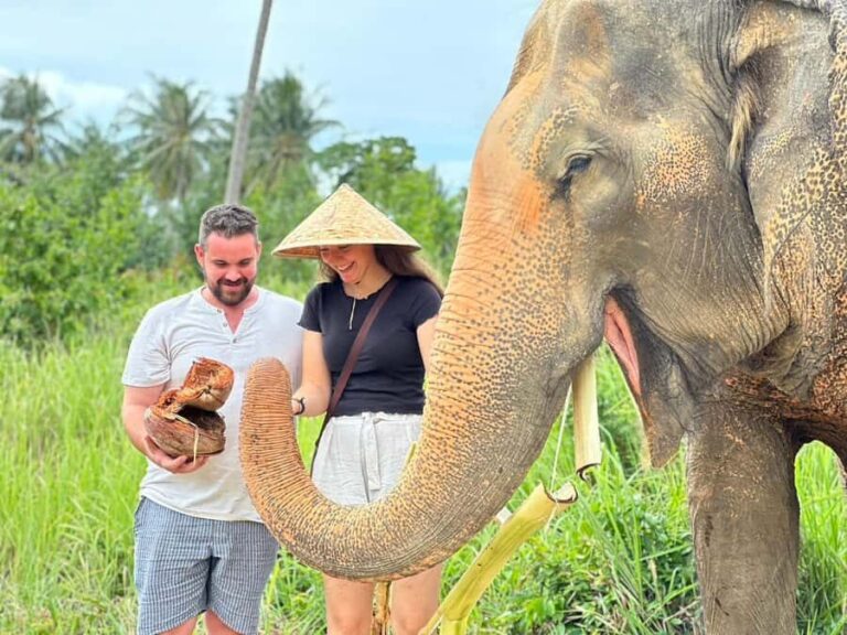 Koh Samui: Ethical Elephant Home Guided Tour with Transfers - What Makes This Tour Stand Out?