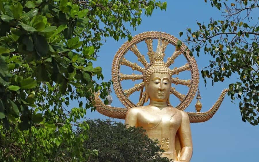 Koh Samui: Half-Day Highlights Tour with Hotel Transfers - What Makes This Tour Stand Out