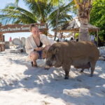 Koh Samui Island Hopping Adventure in Coral and Pig Island - Practical Details: Transport, Duration, and Pricing