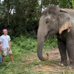 Koh Samui: Jungle Safari Jeep Tour with Elephants Sanctuary - Exploring the Rugged Side of Samui