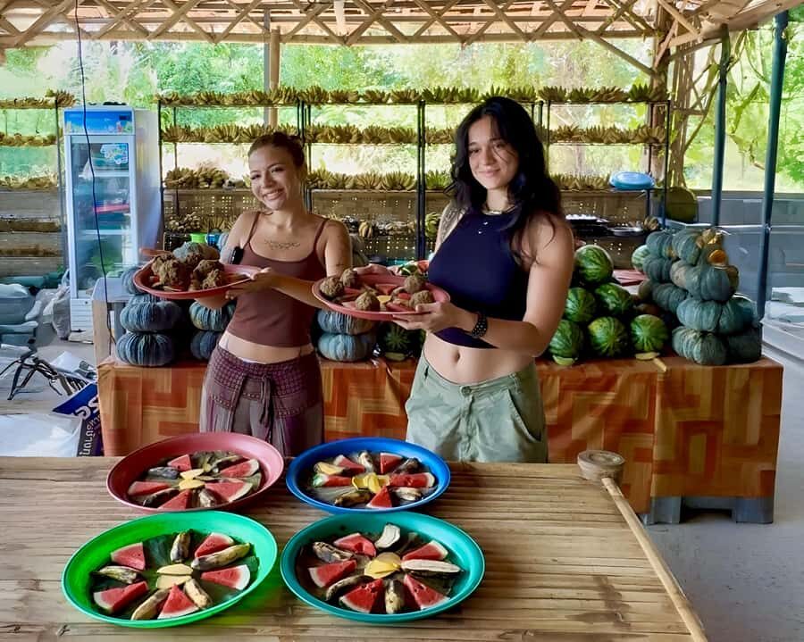 Koh Samui: Jungle Safari Jeep Tour with Elephants Sanctuary - Who Will Love This Tour?