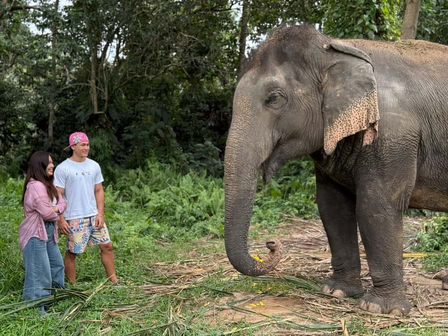 Koh Samui: Jungle Safari Jeep Tour with Elephants Sanctuary - Exploring the Rugged Side of Samui