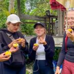 Koh Samui: Jungle Safari Tour Off-Road with Lunch and Guide - Practical Details and Tips