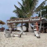 Koh Samui: Koh Madsum & Koh Tan Speed Catamaran Tour - Snorkeling at Koh Tan: Colorful Marine Life and Coral Reefs