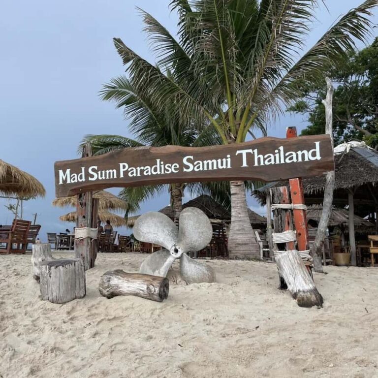 Koh Samui: Koh Madsum & Koh Tan Speed Catamaran Tour - Snorkeling at Koh Tan: Colorful Marine Life and Coral Reefs