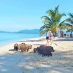 Koh Samui: Koh Mudsum & Koh Tan by Longtail Boat with Lunch - The Practical Side: Transportation, Group Size, & Pricing