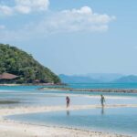 Koh Samui: Koh Tan & Pig Island Trip with Sunset Cruise - Who Will Love This Tour?