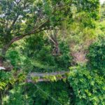 Koh Samui: Option ATV or Zipline or Combo Adventure+Transfer - What to Expect on the Tour