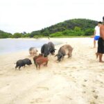 Koh Samui: Pig Island & Koh Tan Longtail Boat with Snorkel - Who Is This Tour Best For?