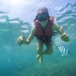 Koh Samui: Pig Island & Koh Tan Snorkeling by Speed boat - What Makes This Tour Stand Out