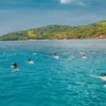 Koh Samui: Pig Island & Koh Tan Speedboat Tour with Lunch - Who is this tour best suited for?