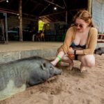 Koh Samui Pig Island Snorkeling by Private Longtail Boat - Authentic Encounters and Review Insights