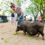 Koh Samui Pig Island Snorkeling by Private Longtail Boat - Who Will Love This Tour?