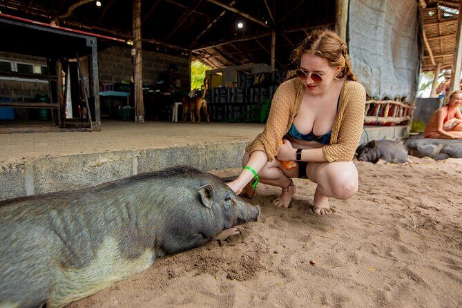 Koh Samui Pig Island Snorkeling by Private Longtail Boat - Authentic Encounters and Review Insights