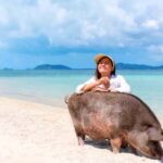 Koh Samui: Pink Dolphin, Pig Island, and Snorkeling Day Trip - Practical Details: What You Need to Know