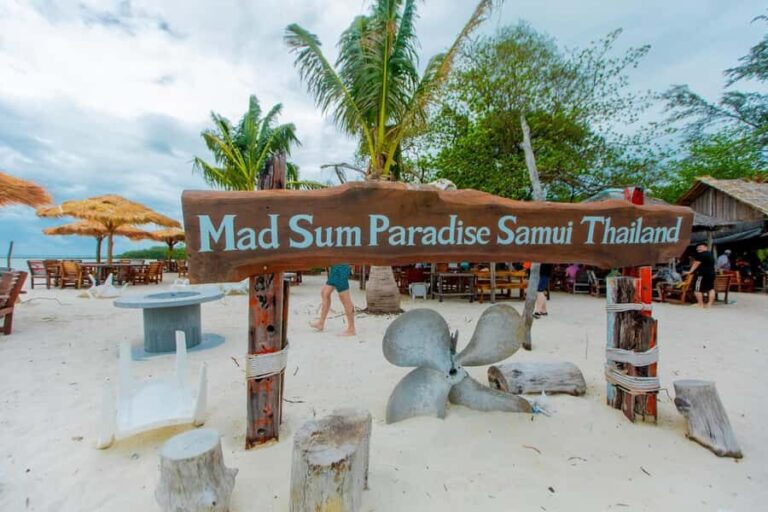 Koh Samui: Pink Dolphin Spotting & Pig Island Speedboat Tour - A Full Breakdown of the Pink Dolphin & Pig Island Experience