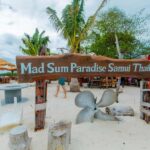 Koh Samui: Pink Dolphin Spotting & Pig Island Speedboat Tour - Who Would Love This Tour?