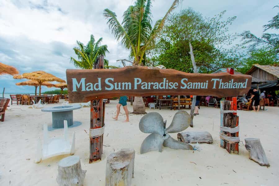 Koh Samui: Pink Dolphin Spotting & Pig Island Speedboat Tour - Who Would Love This Tour?