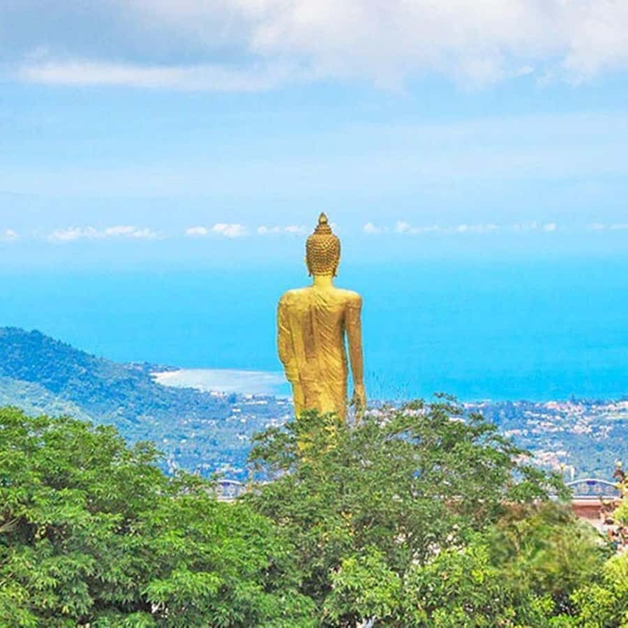 Koh Samui: Private Jungle Safari Tour with Lunch - Why this Tour Offers Great Value