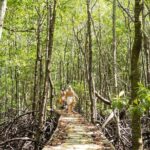 Koh Tan and Pig Island Tour with Sunset Cruise - The Complete Experience: What You Can Expect