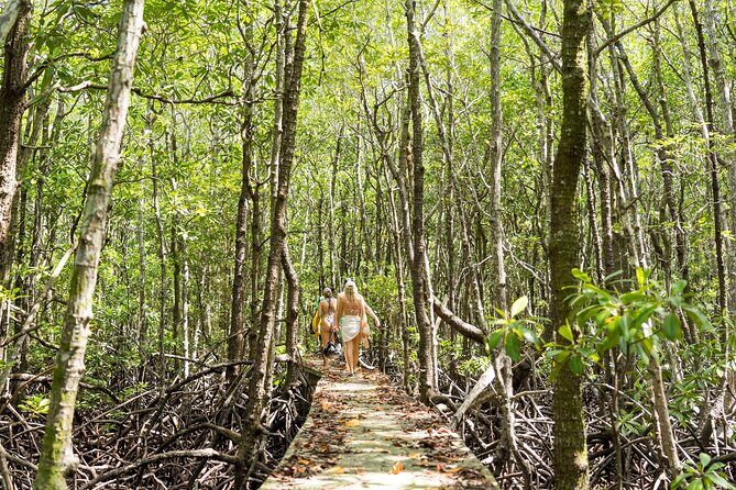 Koh Tan and Pig Island Tour with Sunset Cruise - The Complete Experience: What You Can Expect