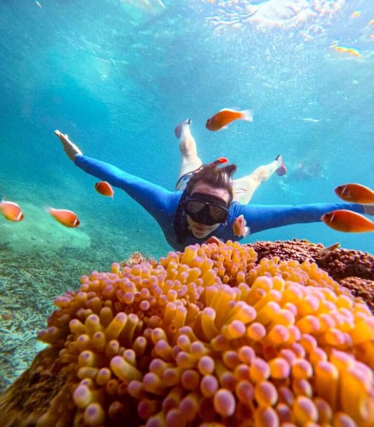 Koh Tao: Half-Day Sunset Snorkeling Tour with Lunch & Pickup - Practical Details and Considerations