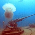 Koh Tao: SCUBA Open water certification - Itinerary Breakdown and What to Expect