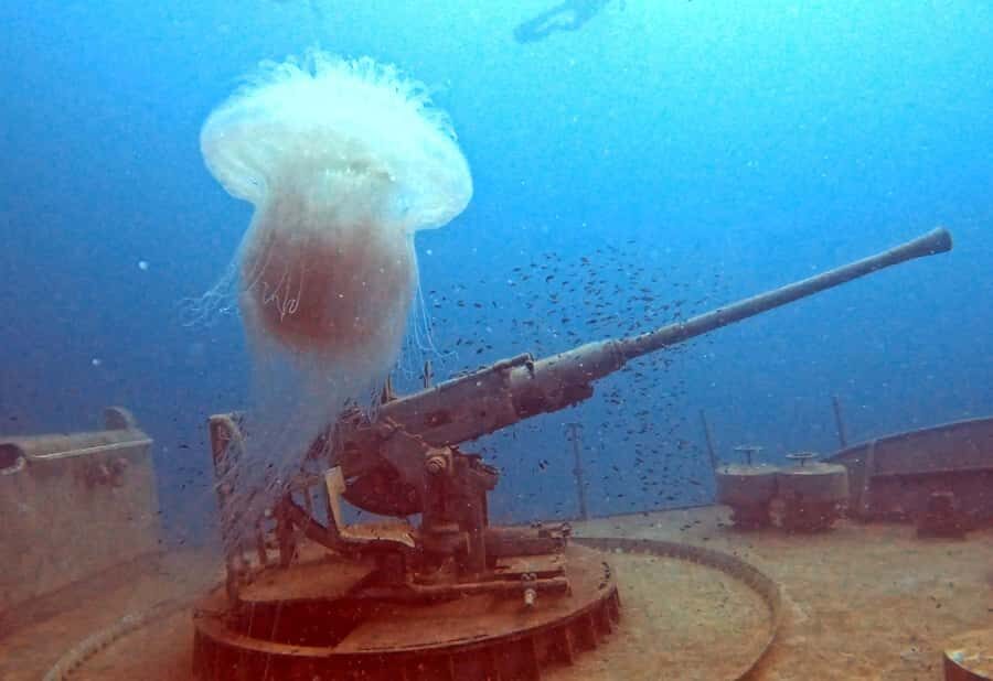 Koh Tao: SCUBA Open water certification - Itinerary Breakdown and What to Expect