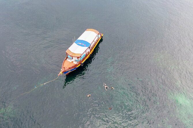 Koh Tao's First Light Snorkel Adventure with Oxygen Tours - Who Will Love This Tour?