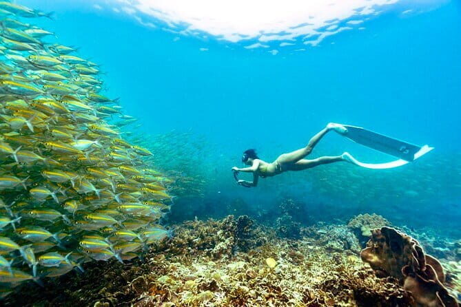 Koh Taos Top Snorkeling Spots by Vintage Wooden Boat - Practical Details
