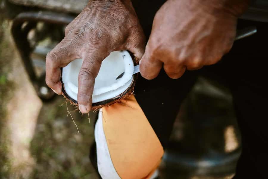 Koh Yao Yai: Options of Community Tour, Ethical Elephant - Exploring the Different Tour Options  