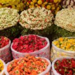 Kolkata Custom Tour: Private & Flexible Guided Day Trip - Deep Dive into the Itinerary