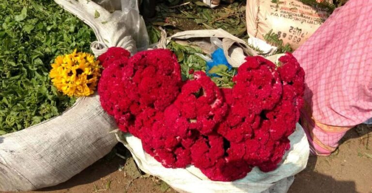 Kolkata: Half-Day Morning Tour w/ Flower Market - Exploring the Itinerary in Detail